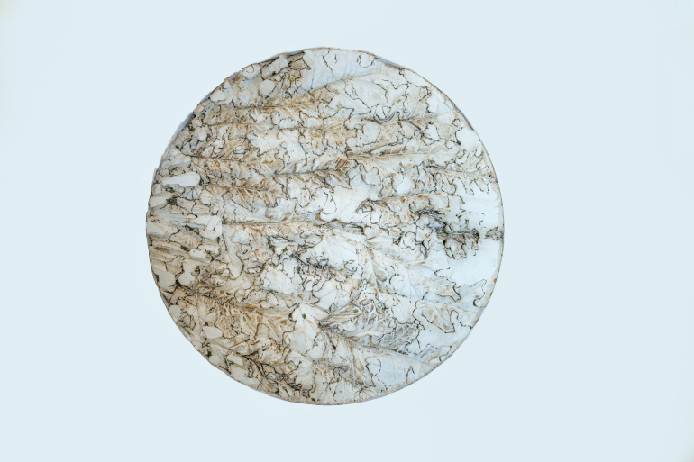 A Great Exhibition in Sicily: dal 7 aprile 2023 a Noto
